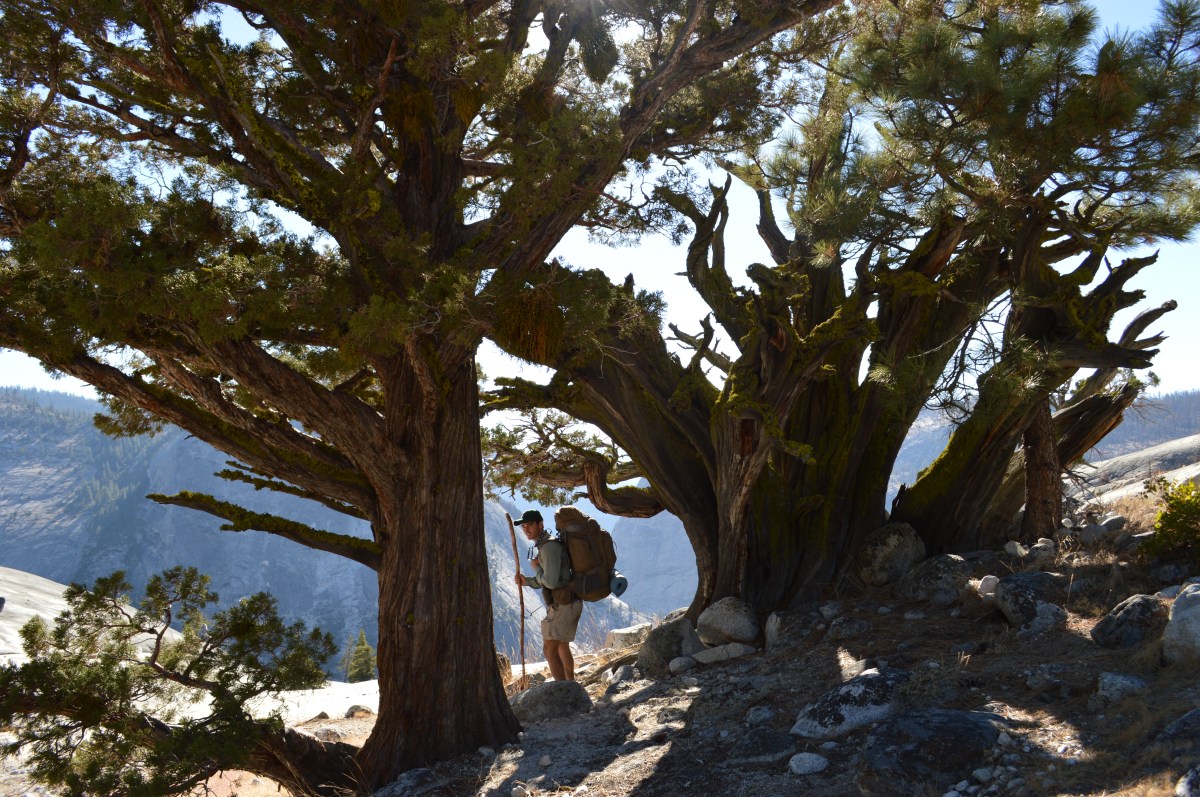 Autumn Colors of&nbsp;Yosemite